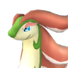 Broncherry Pal icon